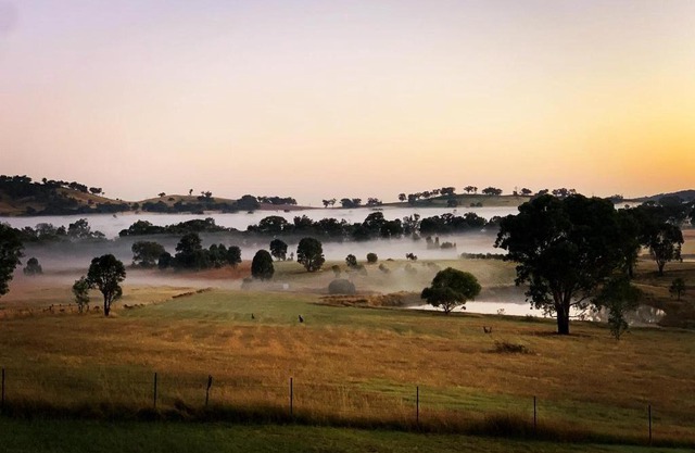 Grattai Grove Mudgee