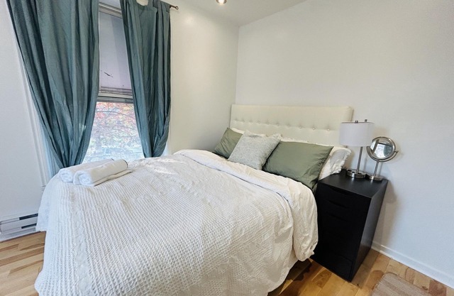 Great Natural Light apartment in Historic Building