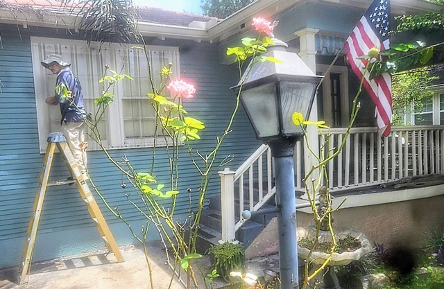 GREEN DOOR COTTAGE nCharming New Orleans home 10 mins from the French Quarter.n