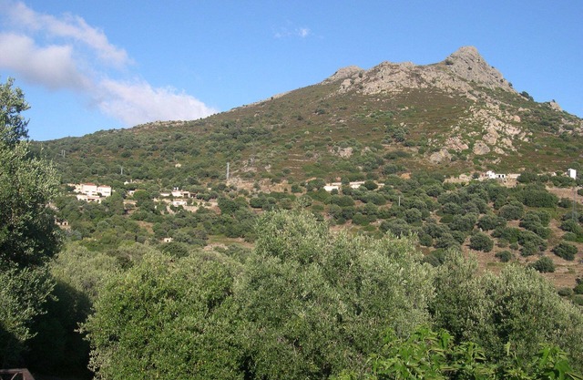 Ground floor in property with swimming pool in maquis 5 min Ile Rousse 2 pers