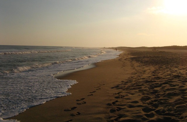 Group Getaway! 3 Modern Rooms with Balcony! Rooftop Pool, Pets Allowed!