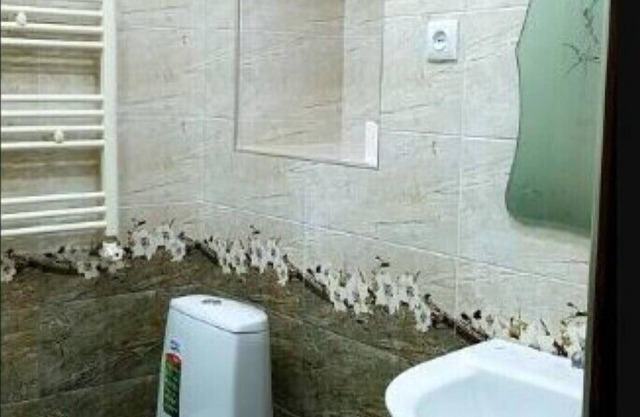 Guest House A.S.T Gyumri