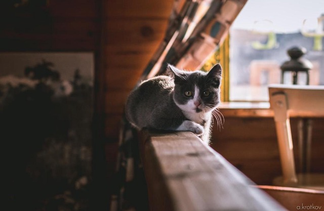 Guesthouse Voskresenie