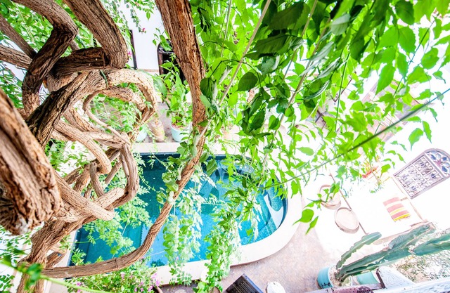 Hôtel & Spa Riad Dar El Aïla