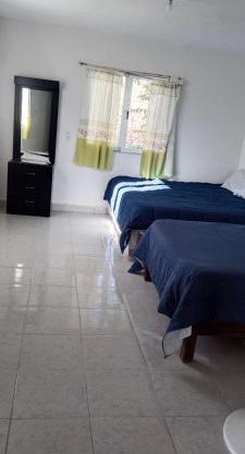 Habitacin doble op1
