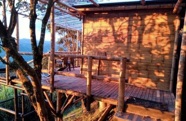 Hakuna Matata Glamping timon