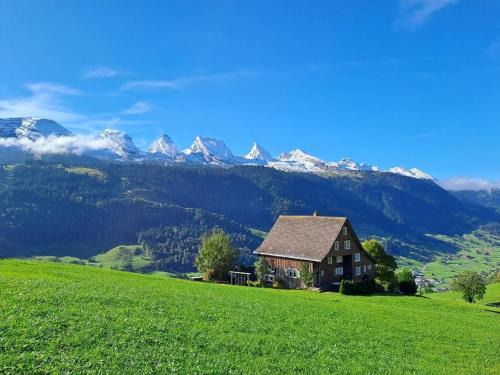 Haldenhof Schwizer