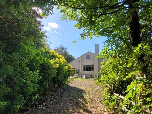 Halls Cleave, Woodland Retreat, Moretonhampstead, Dartmoor