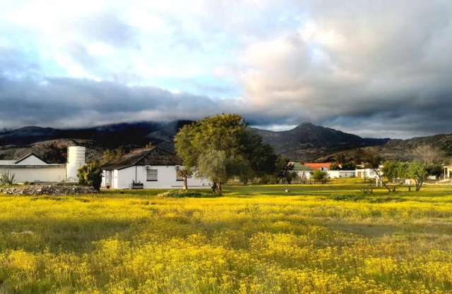 Harry's Place Guesthouse