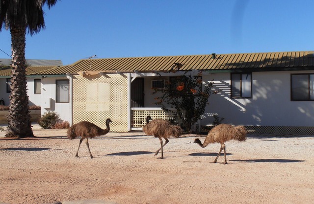 Hartog Cottage 2 Denham