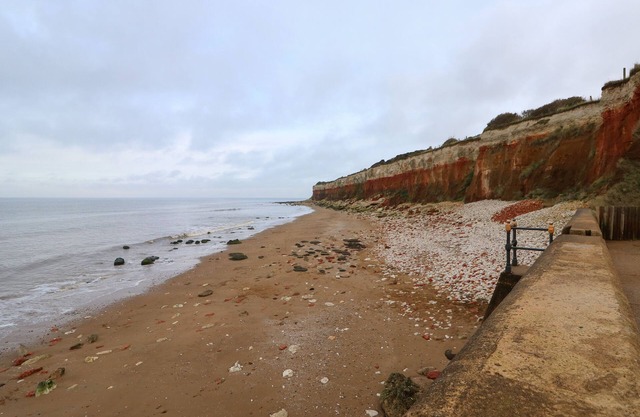 Harvey's Holiday House