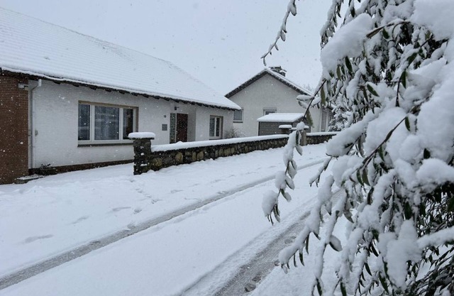 Haus Wallberg - Apartment/apartment, WC and shower