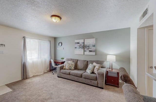 Hazel Orchid, Near Old Town