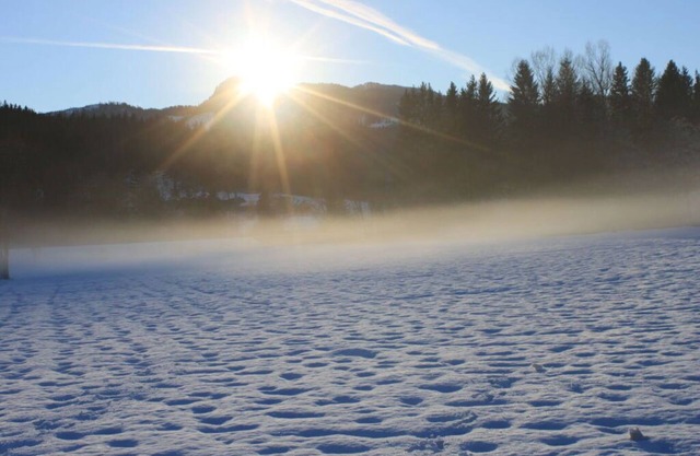 Heidi's house Comfortable Vacation Home