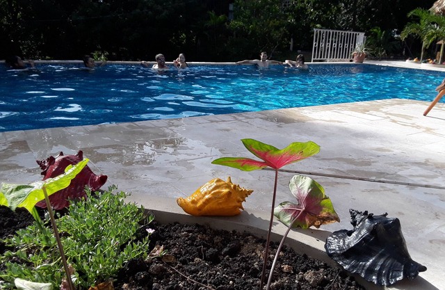 Heliconia is a self catering studio cabin with jungle facing private balcony
