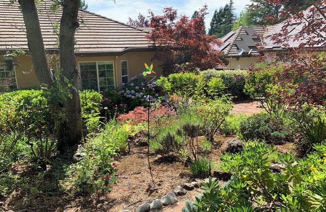 High-end exclusive quiet Eastwood Park neighborhood in beautiful Cameron Park