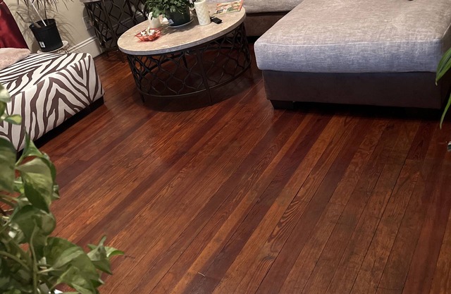 Historical section of Chesapeake. Propertie nice and groomed quiet neighborhood.