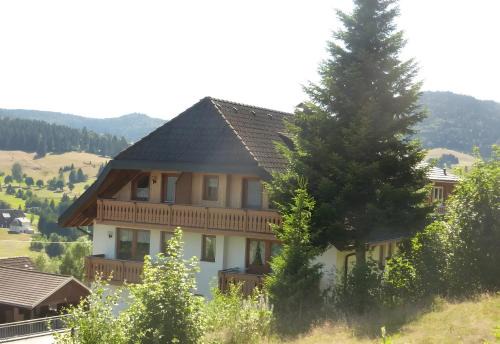 Hochtalblick-Herzogenhorn -Blößing1
