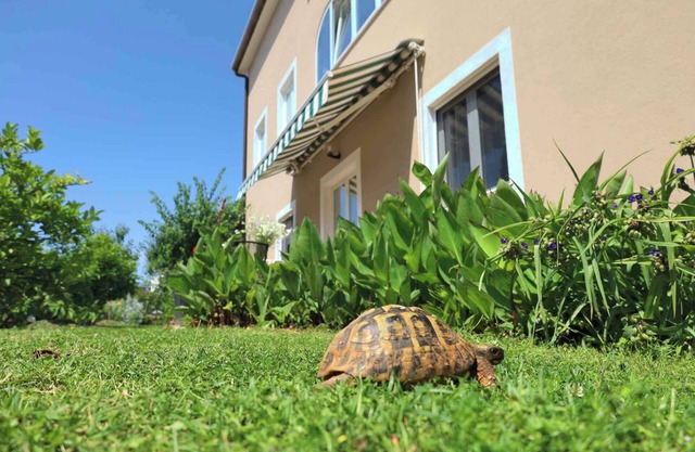 Holiday apartment with internet, air conditioning, terrace and garden in a quiet location