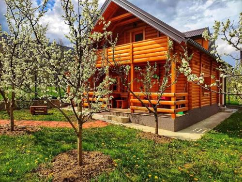 Holiday cottages with pool