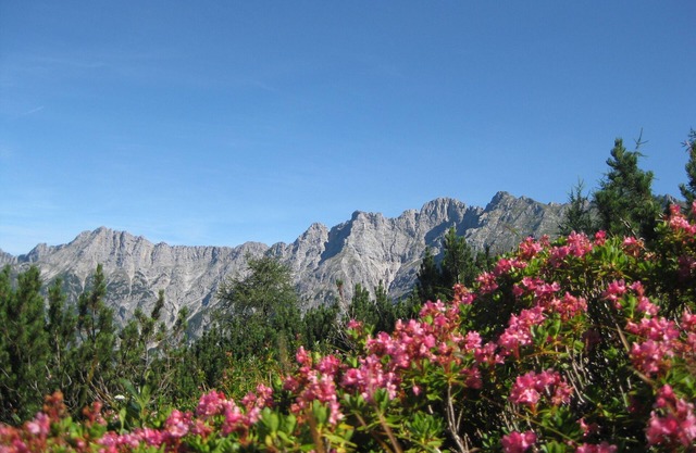 Holiday Nest Leitner Apartments in the Hochkönig Region
