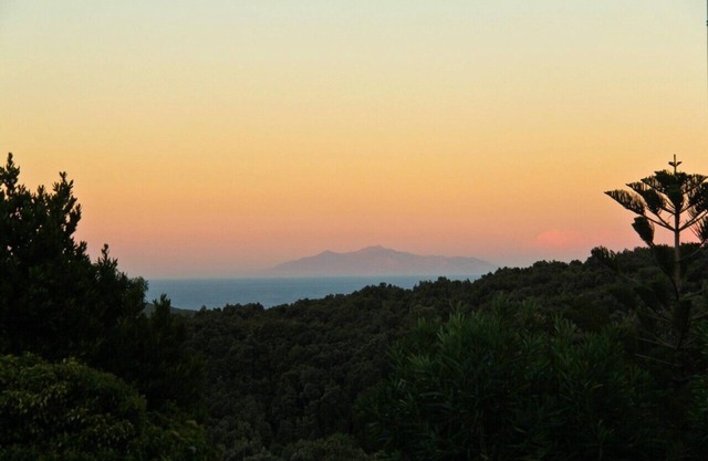 Holiday Rental of a Tower in Cap Corse Sisco