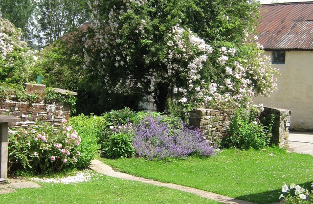 Hollamoor Farm B&B
