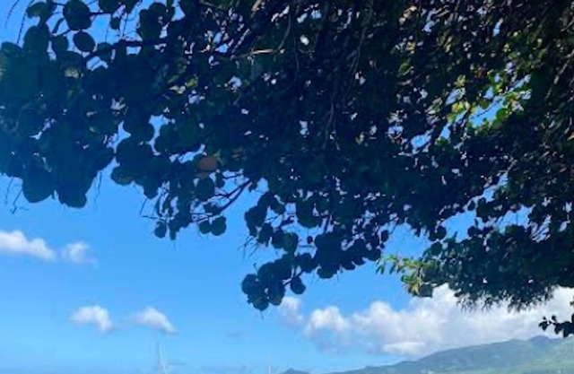 Homerez - Appartement 1 km away from the beach for 3 ppl. with shared pool