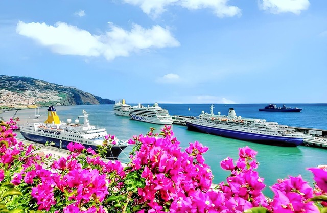 Homerez - Apt Funchal Balcony View