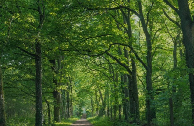 Homerez - Apt in Corbeil-Essonnes