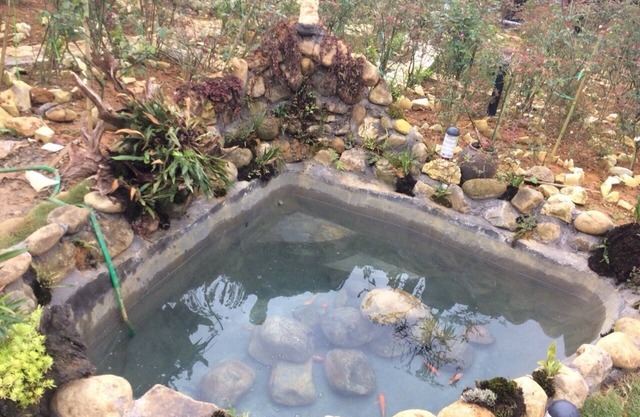 Homestay Vuon Hong Co