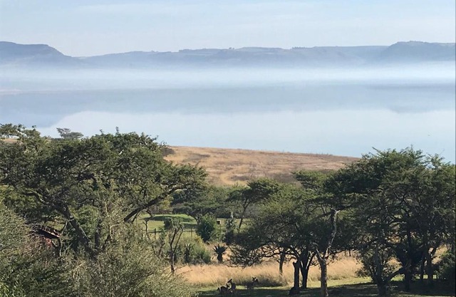 Hoopoe log cabin NO 2