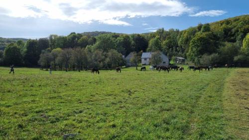 Horse Trail Plitvice