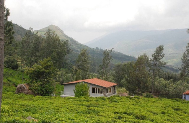 Hospitality Expert TVE: BBQ, Bonfire & Chef