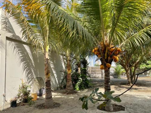 Hostal Terramar Salinas