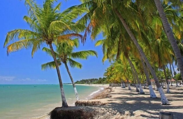 Hostel Pousada Flor de Paris