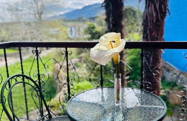 Hotel Las Palmeras
