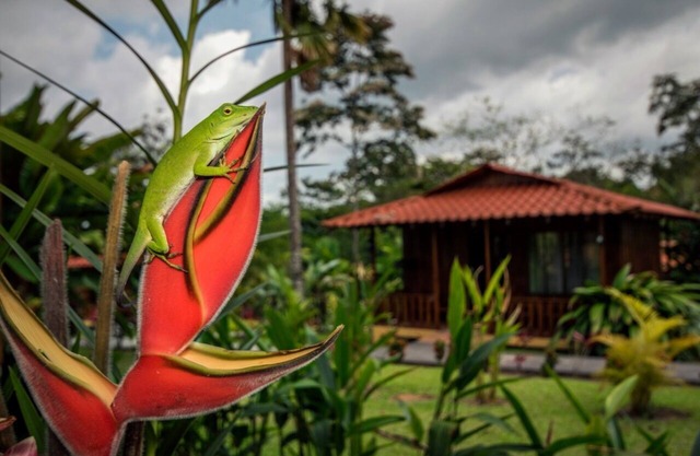 Hotel Rancho Cerro Azul