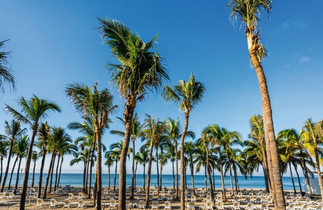 Hotel Riu Vallarta - All Inclusive