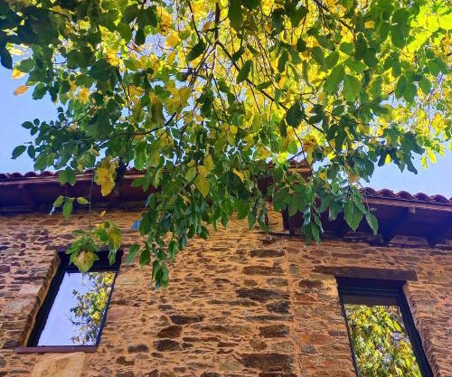 Hotel Rural Las Campares