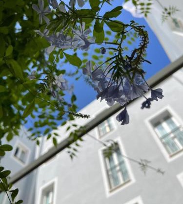 Hotel San Miguel Menorca