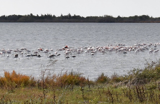 House Chloe in Organic Farm Bioporos