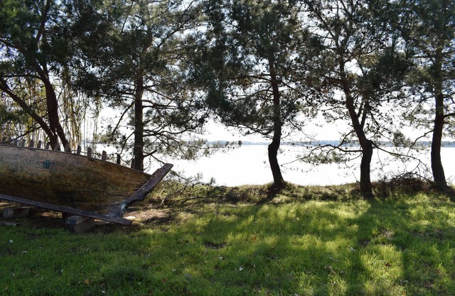 House Chloe 1 in organic farm Bioporos