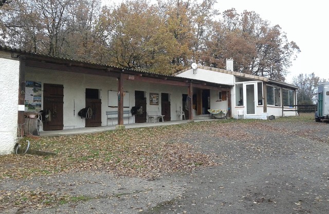 House in a rural setting with horses nearby