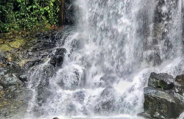 House in the middle of the Morretes Atlantic Forest overlooking Pico do Marimbi