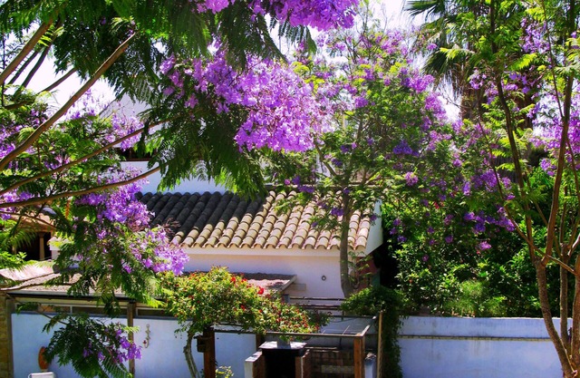 HOUSE JACARANDA 2 ROCHE VIEJO