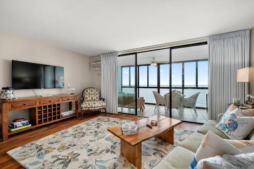 HPN 11G - Salty Sandpiper