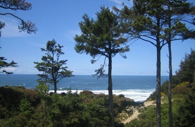 Huge Ocean View with Semi-Private Beach Access