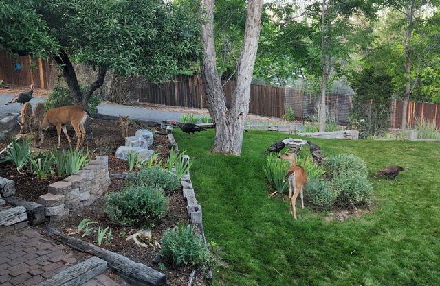 I-5 adjacent Bigfoot-themed Home