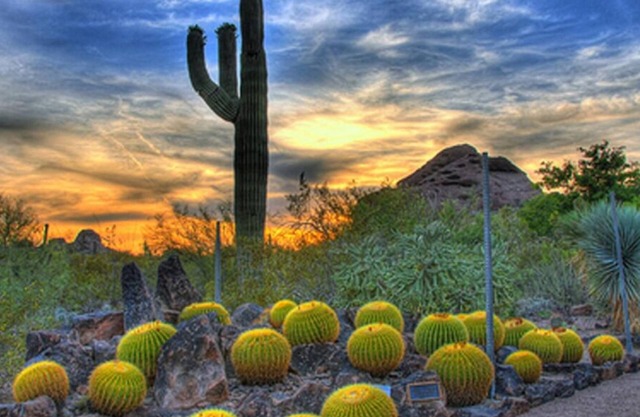 Ideal Mix of Comfort and Value! 3 Comfortable Units, Pool, Free Breakfast